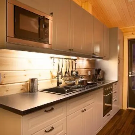 Levin Revontulitaivas 2 By Interhome 度假居